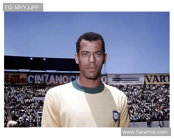 十号足球明星盘点谁是球场上的传奇与偶像 十号足球明星盘点谁是球场上的传奇与偶像