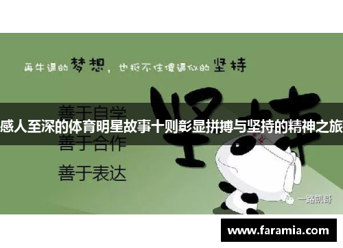 感人至深的体育明星故事十则彰显拼搏与坚持的精神之旅